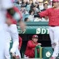 広島・新井監督　許した盗塁３つ「スタートを切った瞬間、もうセーフのタイミング」【一問一答】
