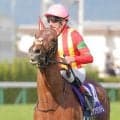 【注目馬動向】ビザンチンドリームが宝塚記念で再始動　クロワデュノール、ミュージアムマイルなど豪華メンバーの一戦