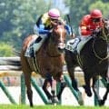 【東京４Ｒ・３歳未勝利】日本ダービー馬の半弟クカイリモクが貫禄の初勝利　レーン騎手「もっと能力を」