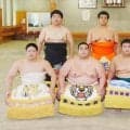 雷親方の長男、垣添ら新序出世力士９人を発表　名古屋場所から番付にしこ名が載る