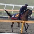 日曜東京競馬場の注目激走馬…東京１１Ｒヴィクトリアマイル・Ｇ１