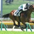 【東京７Ｒ・３歳１勝クラス】ＮＨＫマイルＣとわずか０秒１差　トミーバローズが６馬身差圧勝　坂井瑠星騎手「これからが楽しみ」