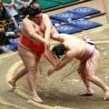 炎鵬、会心の相撲で連敗ストップ６勝目　充実の本場所に「もう中日なんですね、早いですね」