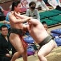 幕下丹治「３秒前に勘が働いて」竜翔との全勝対決制し４連勝　新十両へ「あまり意識せず」
