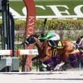 【栗東Ｓ】８番人気の伏兵が逃げ切りⅤ　タガノミストで首差制した田山旺佑騎手「僕なんか乗ってただけ（笑）」