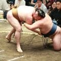 玉鷲がひざから崩れ初日から８連敗で負け越し「突き放しで力が入らない」と琴風氏