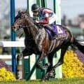 【日本ダービー】ロブチェン、コンジェスタスなどが登録