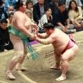 大関琴桜が中日に６敗目「少し体を絞っても」元横綱の花田虎上氏が減量と猛稽古の勧め