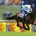 【東京7R】トミーバローズが6馬身差圧勝…坂井瑠星騎手と能力全開