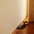 夜間頻尿が気になって来たシニアの方へ・・・お酒の利尿作用とは
