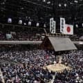 日本相撲協会が夏巡業の日程発表　８月２日岐阜市スタート、東北、関東など巡る