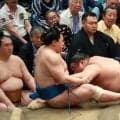 藤凌駕「しがみついてでも勝ちたいと思った」琴栄峰撃破で２敗キープ「図太い相撲で最後まで…」