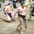 朝乃山、豪快な上手投げで５勝目「いい攻めができた」