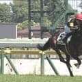 「泣ける」ディープインパクト産駒の“9歳馬”、6年ぶり勝利に感動の声「これぞ競馬のロマン！」「戦績見てうるっと」