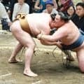 “鉄人”玉鷲　幕内陥落危機　初日から８連敗　残留目安は６勝に「あと７日ある」