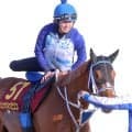 【Ｇ１・１週前まとめ】ＪＲＡ女性騎手初クラシック騎乗、今村聖奈がジュウリョクピエロで頂点を目指す　オークス