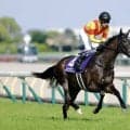 【ヴィクトリアマイル】武豊、巧みな逃げも「東京の直線は長い…」レース後ジョッキーコメント