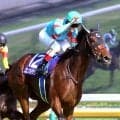 【小島太元調教師の競馬ジャーナル】際立っていたエンブロイダリーの強さ…勝因はポジショニング＆折り合いの良さ
