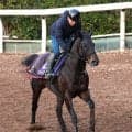 【平安Ｓ・松ケ下の特注馬】ロードクロンヌがコーナー４つの舞台で巻き返す　ここでは主役を張れる一頭