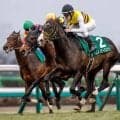 【先週のJRA抹消馬】25年京成杯を制したニシノエージェント、ダート中距離で4勝のクラウンシエンタ