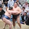友風の連勝が「５」でストップ　はたく暇なく４敗目　「相手が考えてきましたね」
