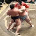 若隆景が２敗目　琴勝峰に完敗