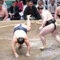 「獅司って逃げるんですね」玉鷲、立ち合い変化に９連敗「夜、練習しよう」勝利の所作特訓？