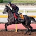 【オークス】無傷２連勝のアンジュドジョワが一発狙う　騎手時代にオークス３勝の福永調教師が送り込む未知の素質馬