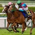 高杉吏麒騎手がGI初制覇なるか スウィートハピネスで直線一気狙う