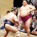 藤凌駕、御嶽海下し初の勝ち越し王手「ケアも仕事のうち」外食への誘いは全て断る徹底ぶり