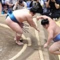 ２敗キープ琴栄峰「自分はチャレンジャー」優勝争い大関霧島と１差も「一番一番」強調