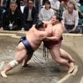 藤凌駕、初の勝ち越しに王手「がむしゃらに前に出た」　トップと１差を守る