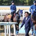 【オークス】東大文学部出身、小笠倫弘調教師ラフターラインズでＧ１初制覇に挑む