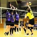芦原ユークラブが優勝、北信越大会へ　ママさんバレーの福井県予選会