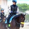 【注目馬動向】新潟大賞典１５着のシュガークンは宝塚記念へ　キタサンブラック半弟　清水久調教師「いい競馬でしたよ」