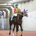 【注目馬動向】新潟大賞典で１２番人気２着のバレエマスターはジューンＳ視野　セキトバイーストは連覇かかる府中牝馬Ｓへ