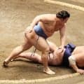 翔猿が４場所ぶりの勝ち越し　引退の兄・英乃海を「思って頑張る」