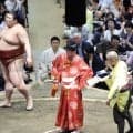ピンクのシャツ着たKOダイナマイトの元世界王者が夏場所観戦「めっちゃ目立つ」SNSで話題