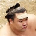 額に大きな絆創膏　前日流血の霧島　まさか黒星２敗目　敗戦後におでこから血がにじむ