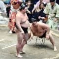 額に大きなばんそうこうを貼った霧島が痛恨２敗目　２敗６人に「まだまだ分かりませんよ」琴風氏