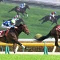 【オークス・超ブル診断データ編】新興勢力ＶＳ桜花賞上位人気馬　フローラＳの勝ち時計が光るラフターラインズ
