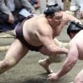 朝乃山が藤青雲に押し出し返し「圧力かければ自分の相撲」先場所の反省いかしきっちり雪辱