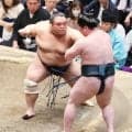 藤凌駕、幕内で初の勝ち越し　２敗守ってトップに並ぶ「全部勝つつもりで豪快な押し相撲を取っていきたい」