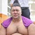 ２敗に後退の霧島　前日流血の額の絆創膏はがれ痛々しい生傷　痛みは「全然ない。自分のことだけを考えてやるしかない」