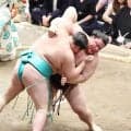 義ノ富士、幕内で自己最長６連勝「調子が上がってきているから、白星がついてきている」
