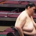 「上半身とのギャップが」「癖になるフォルム」185センチ長身巨漢力士の“ほっそり美脚”にファン熱視線