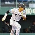 【阪神】ドラ１祭り！先輩３人が語る立石正広のすごさ　３番４番が「さすが」と口をそろえた特長