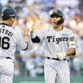 【阪神】立石正広の父和広さん「初打席、初ヒットでいいスタートがきれて本当によかった」