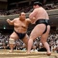藤凌駕　あるぞ！幕尻Ｖ　電車道で２敗堅守　地元・名古屋へ凱旋確定「地元でいいところを見せたい」