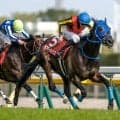 【オークス展望】フローラS勝ちのラフターラインズが戴冠を狙う